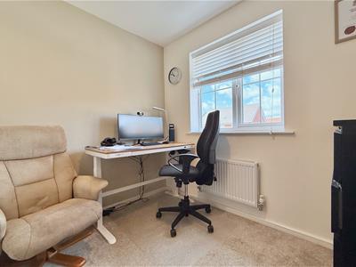 Picture 7